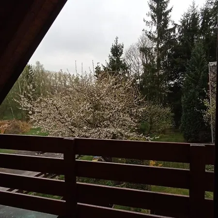 Paradise In The Middle Of The Republic Bystra